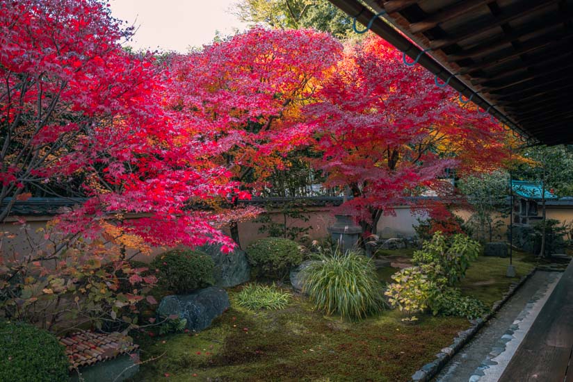 西庭の紅葉