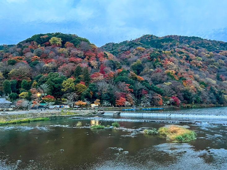 arashiyama-8124