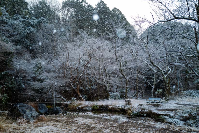 原風景が残る