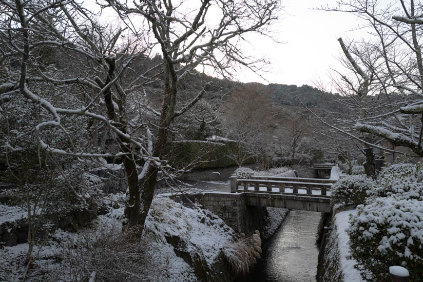 雪が止んだ頃