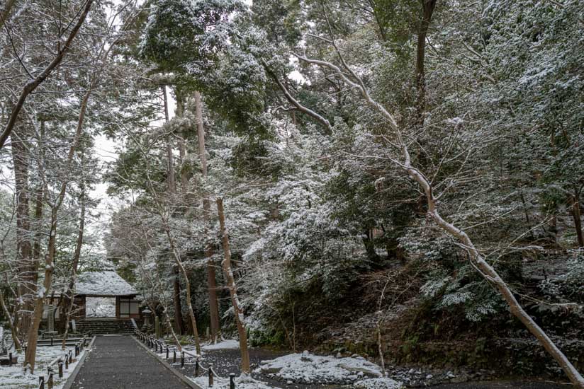 粉雪がかかった山門前