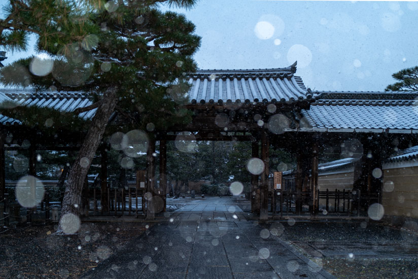 ヒトの居ない雪の建仁寺