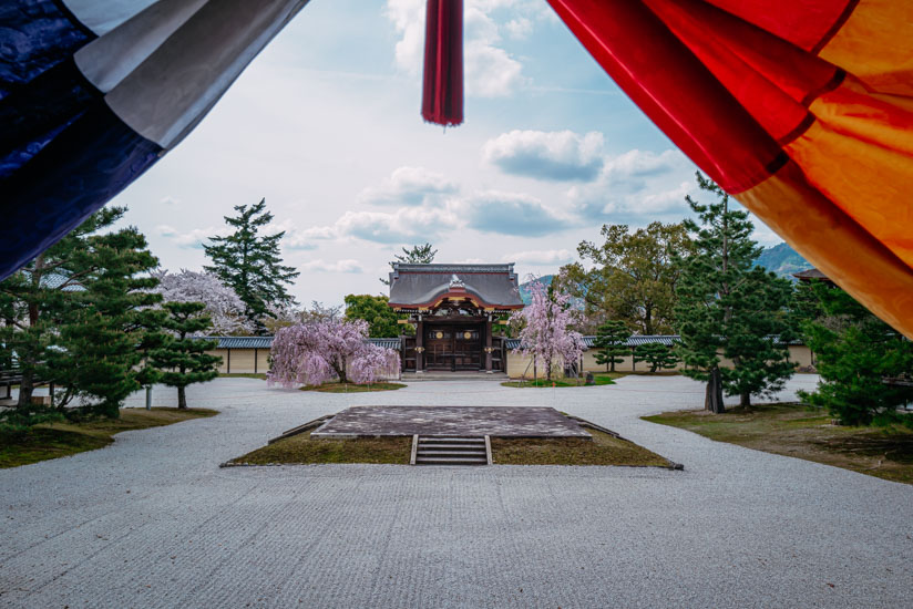 石舞台と二本の桜