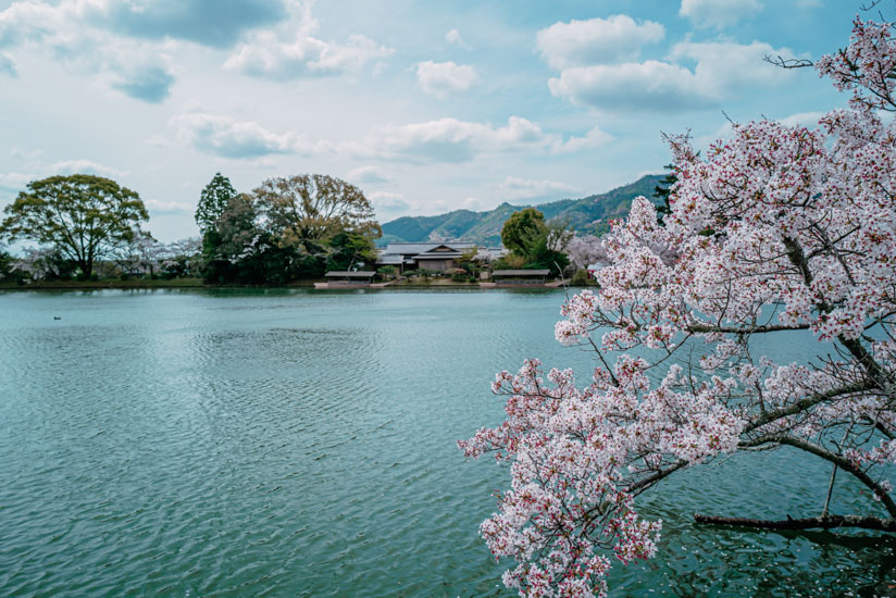 大沢池エリア