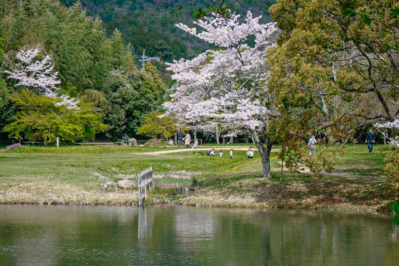 長閑な空気