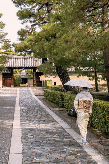 法堂西側の石畳道