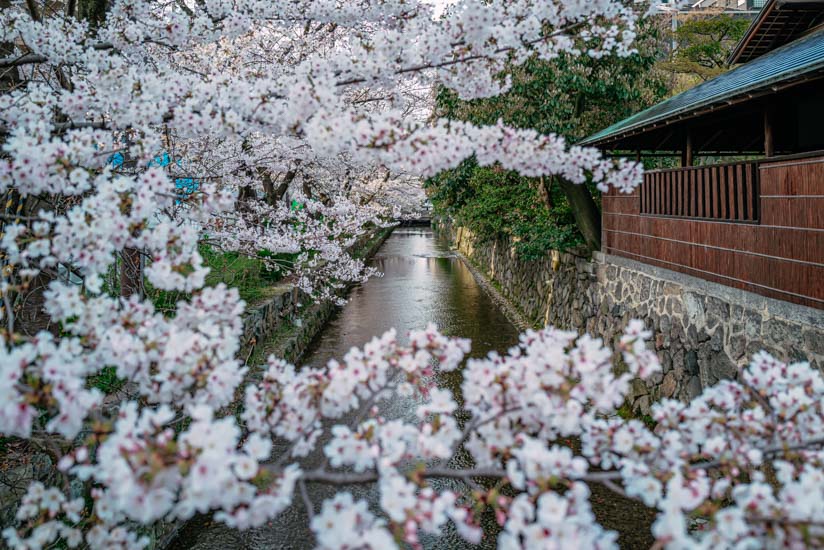 押小路橋から高瀬川