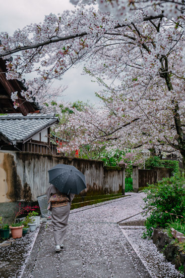 少し雨