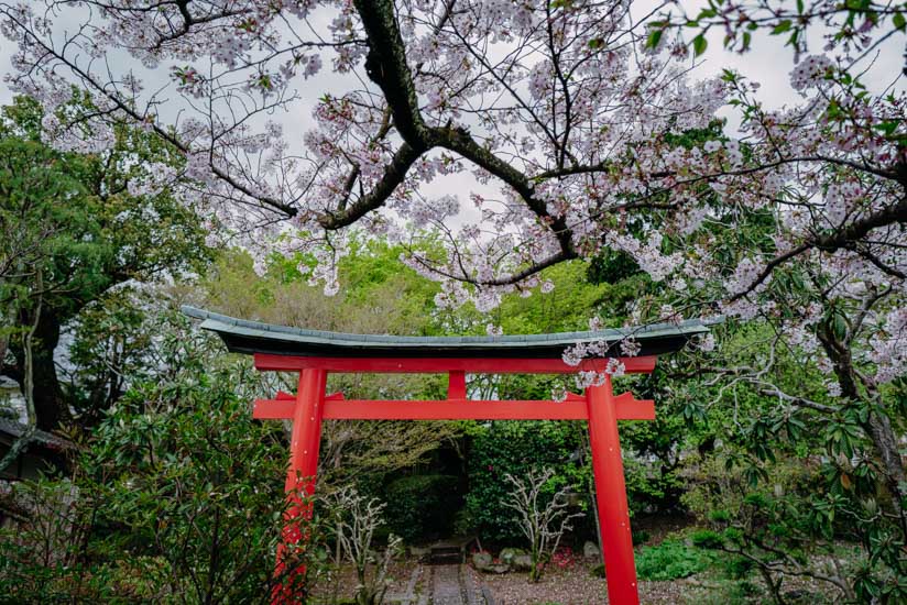 静かに愛でる寺院