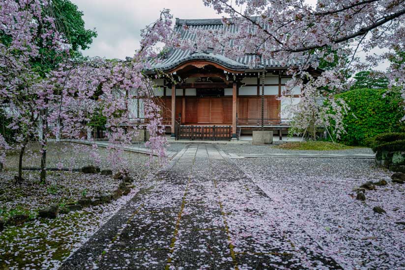 jyouhonrendaiji-1010544