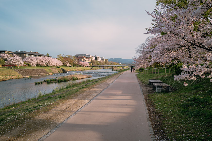 丸太橋近辺