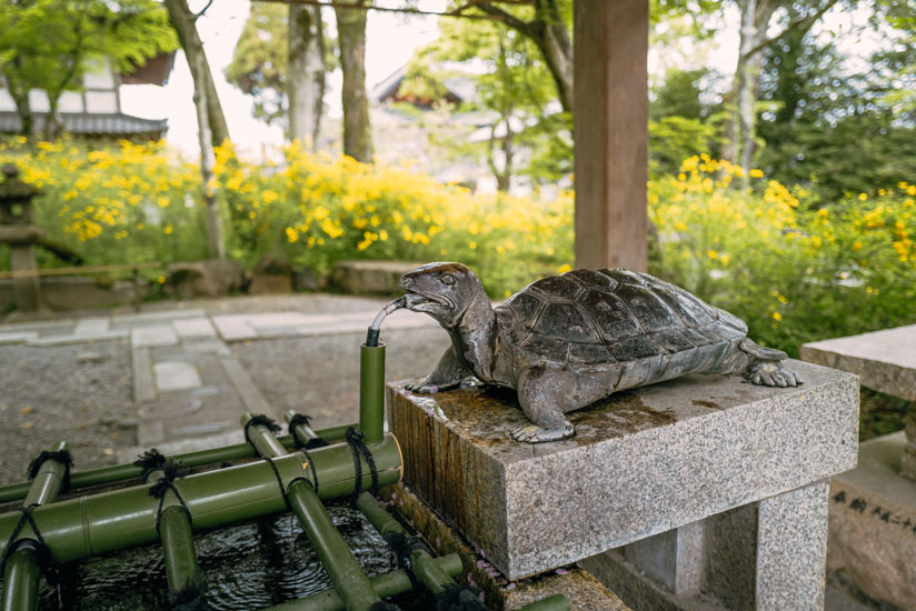 手水舎の亀