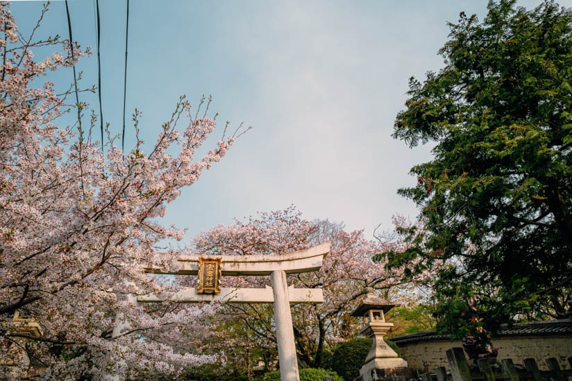 宗忠神社