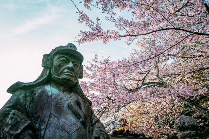 大石内蔵助の像と桜