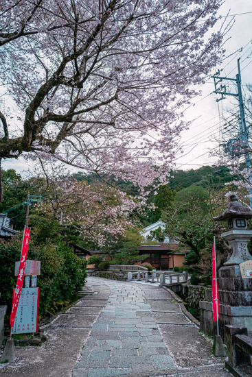 大豊神社に到着