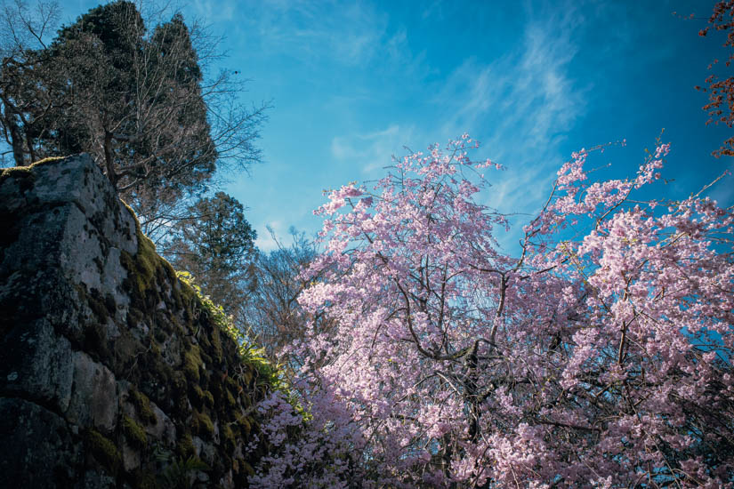 天気よし