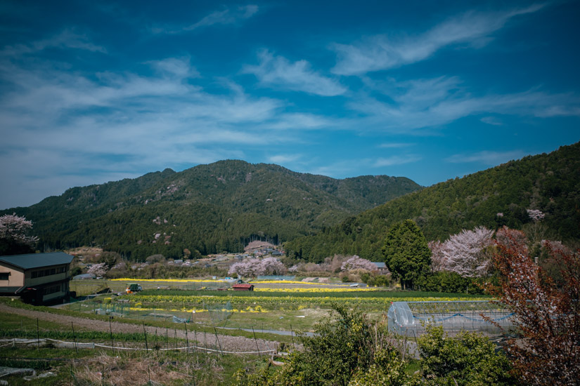 大原の景色