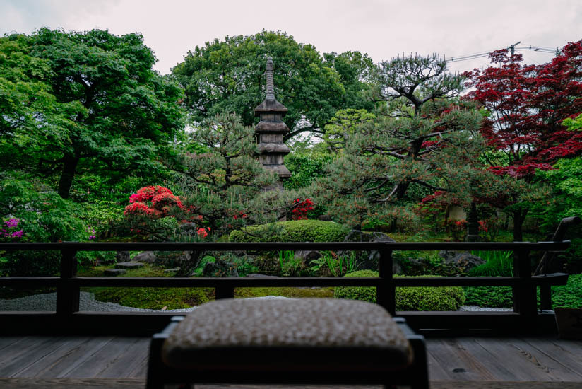 本堂から観る庭園