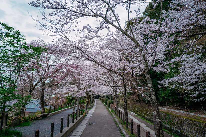 熊野若王子神社あたり