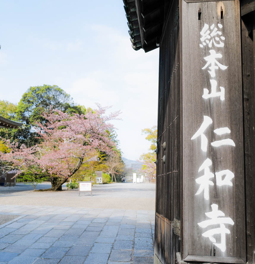 御室桜を観に仁和寺へ