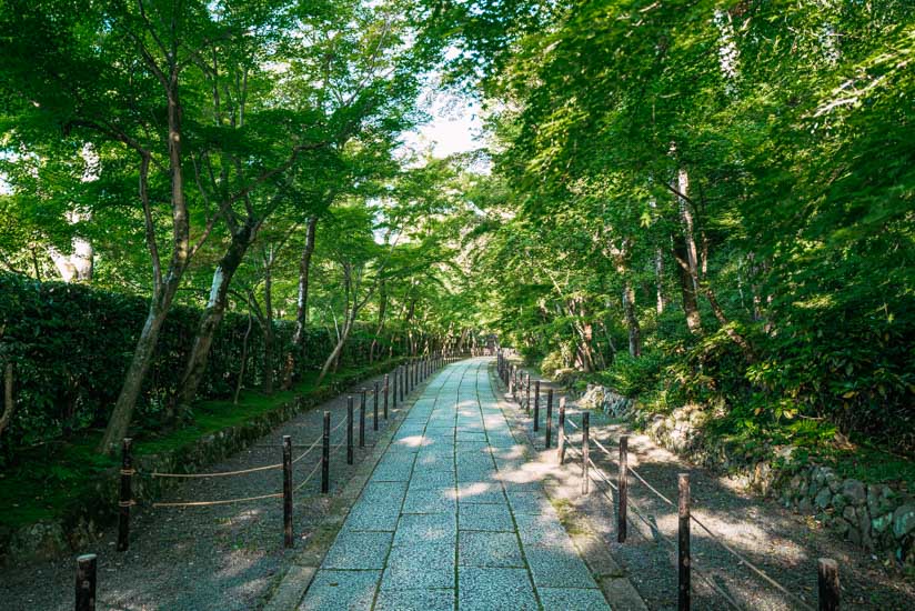 朝はヒトは居ません