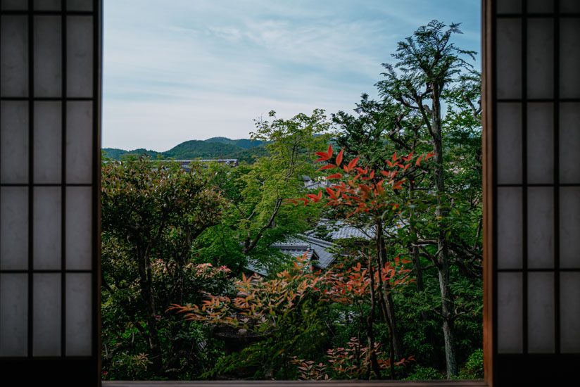 茶室からの景色