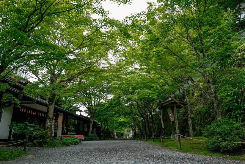 三千院前の歩道