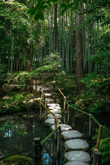 庭園の回遊