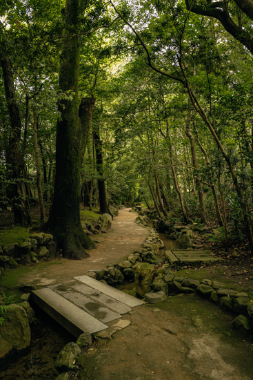 東側の池へ