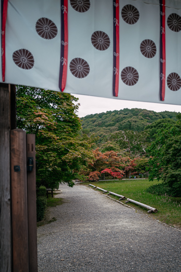 他の草花も魅力的