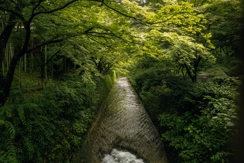 紙屋川の水量も多く