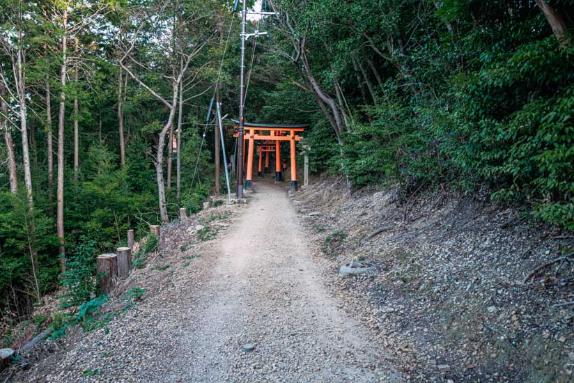 別のコースへ