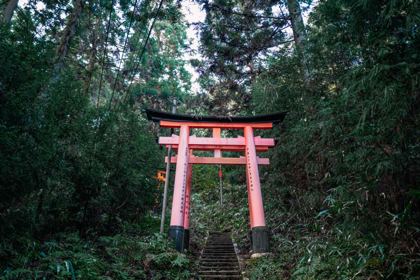 秘境の雰囲気