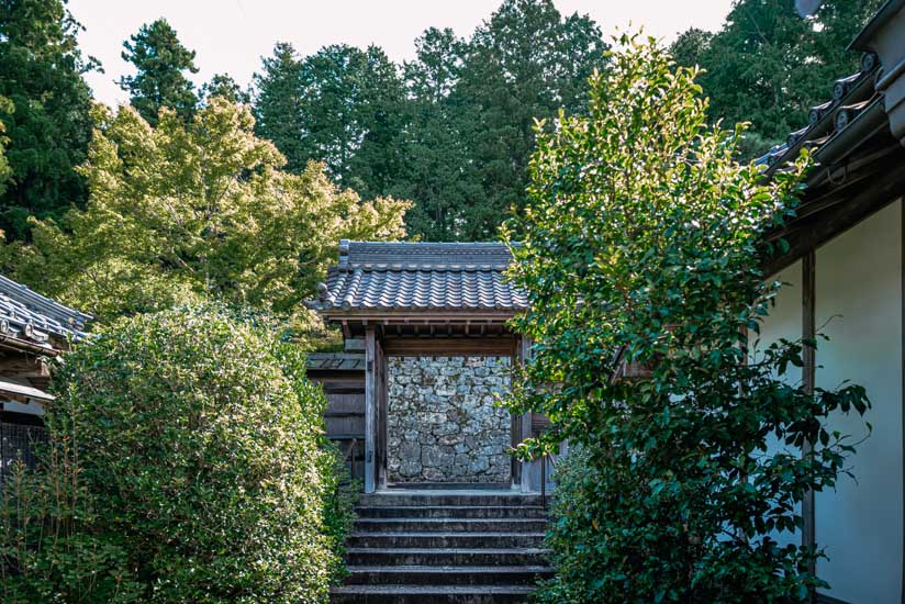 通り過ぎがちな寺院