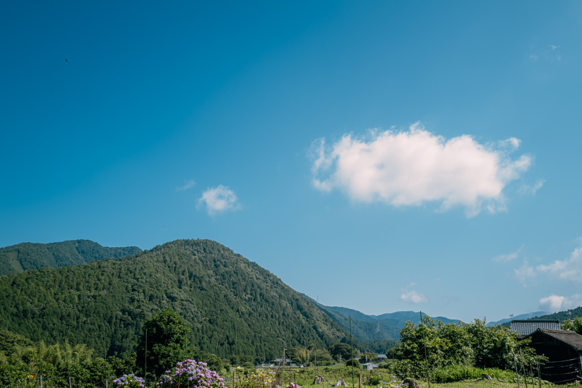 大原らしい景色