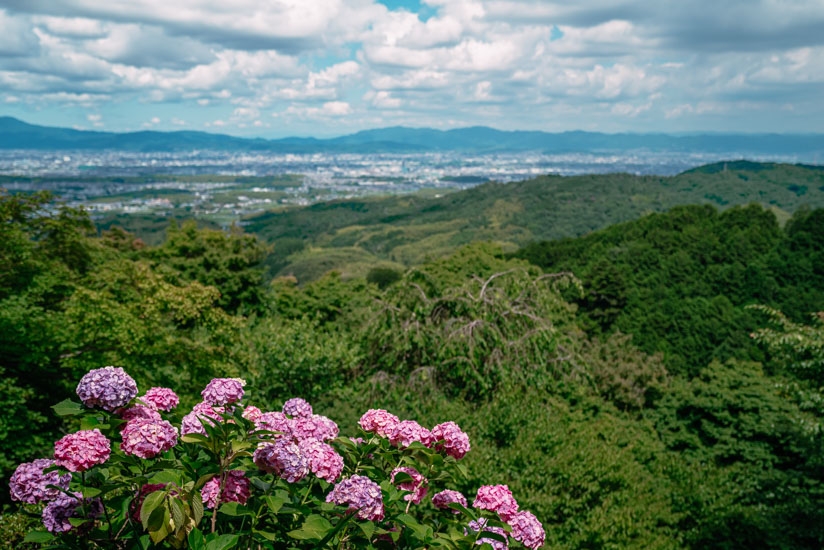 素晴らしい景色