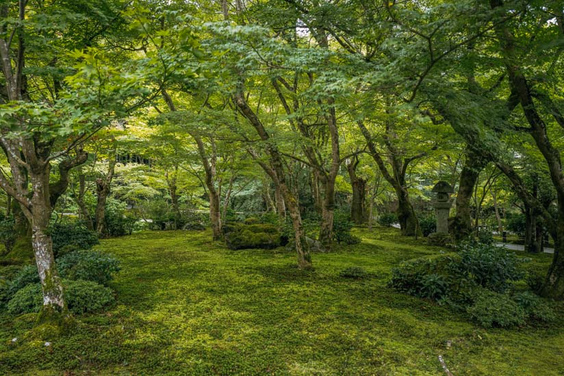 庭園を回遊