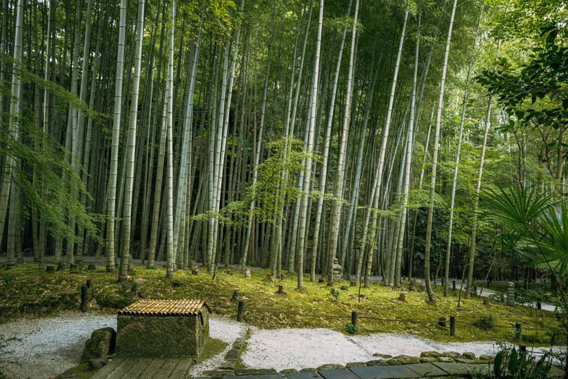 庭園を回遊