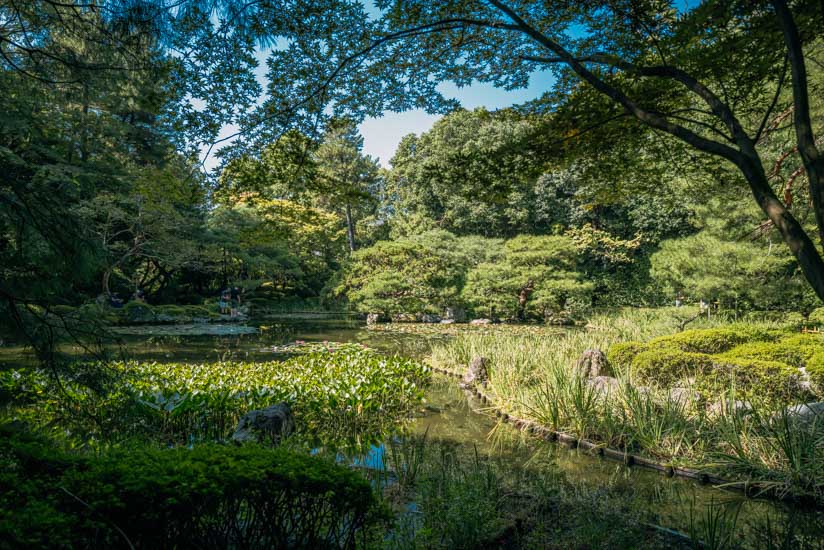 木漏れ日が風流