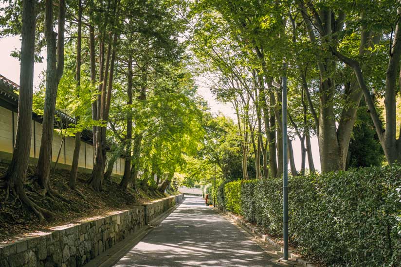 芬陀院を出て帰路に