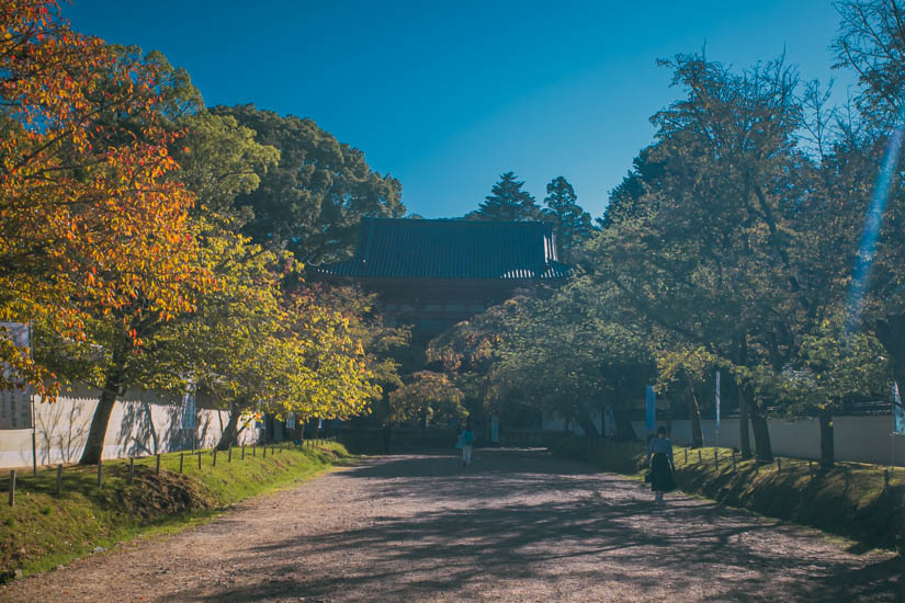 醍醐寺