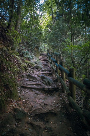 しばらく山道