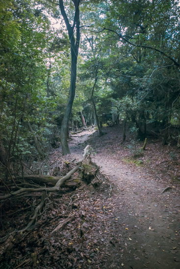 山頂へ