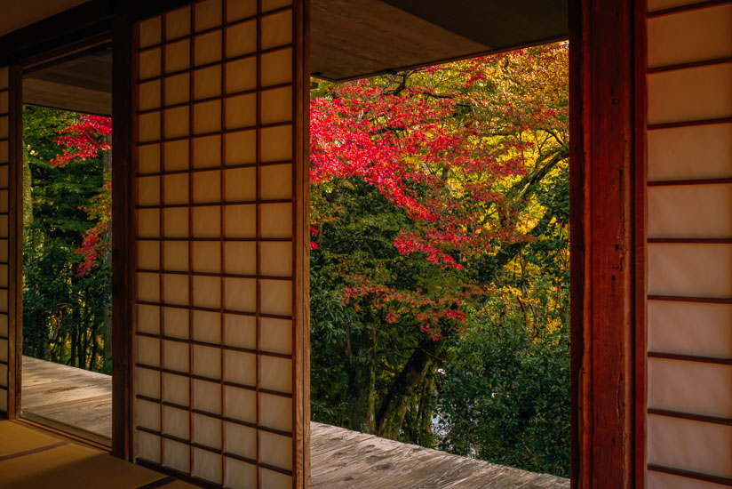 石水院の紅葉