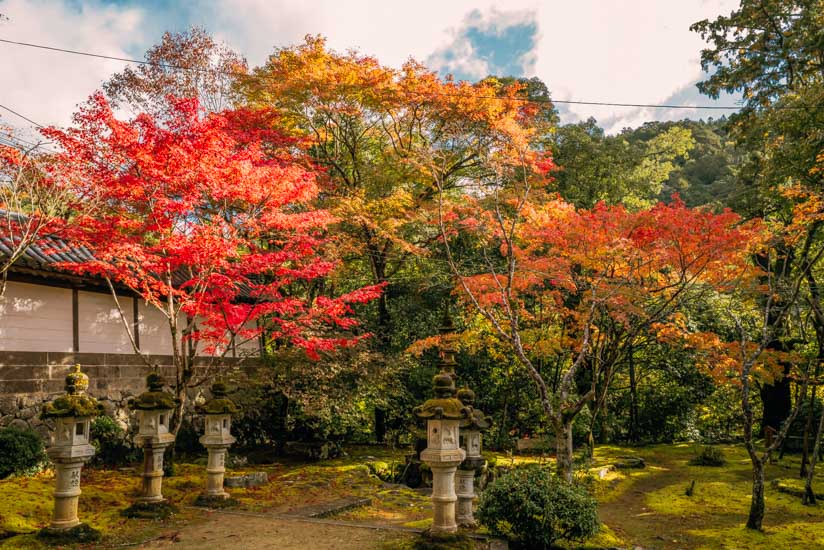 表門の前の紅葉