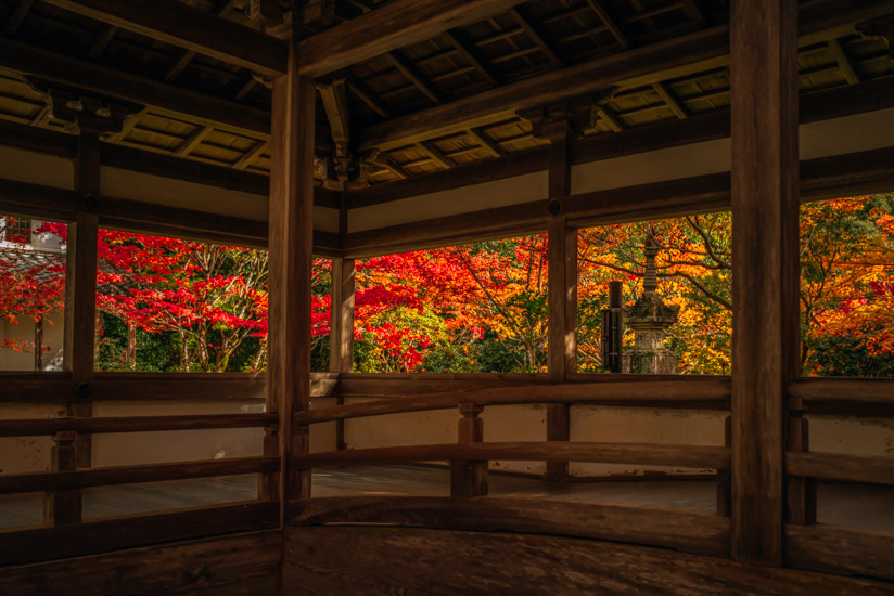 本堂の東側の紅葉