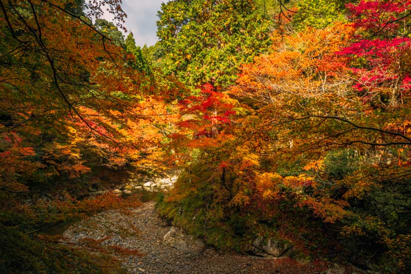 次は神護寺へ