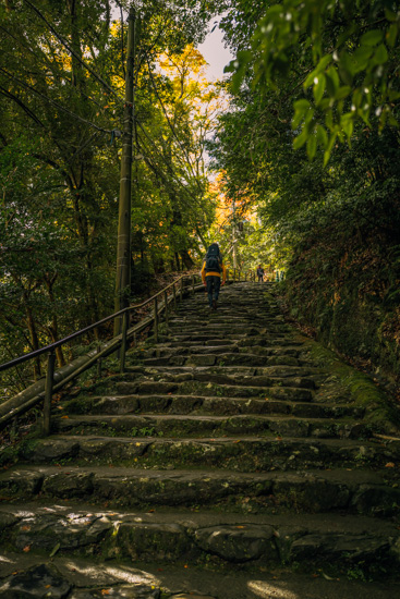 参道を登っていく