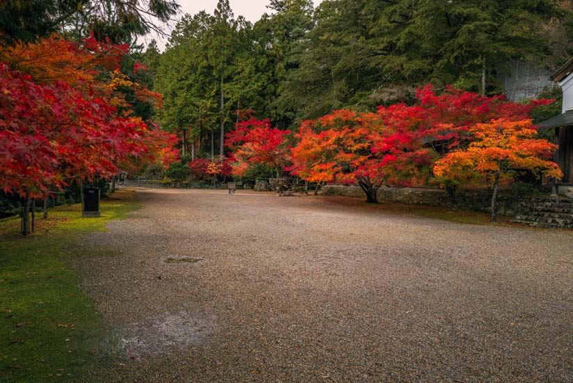 境内の紅葉もキレイ