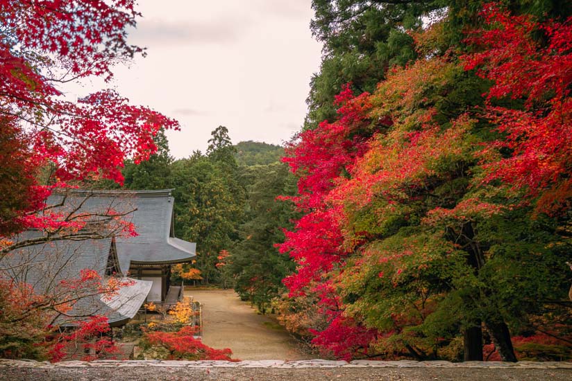 境内の至るところで紅葉